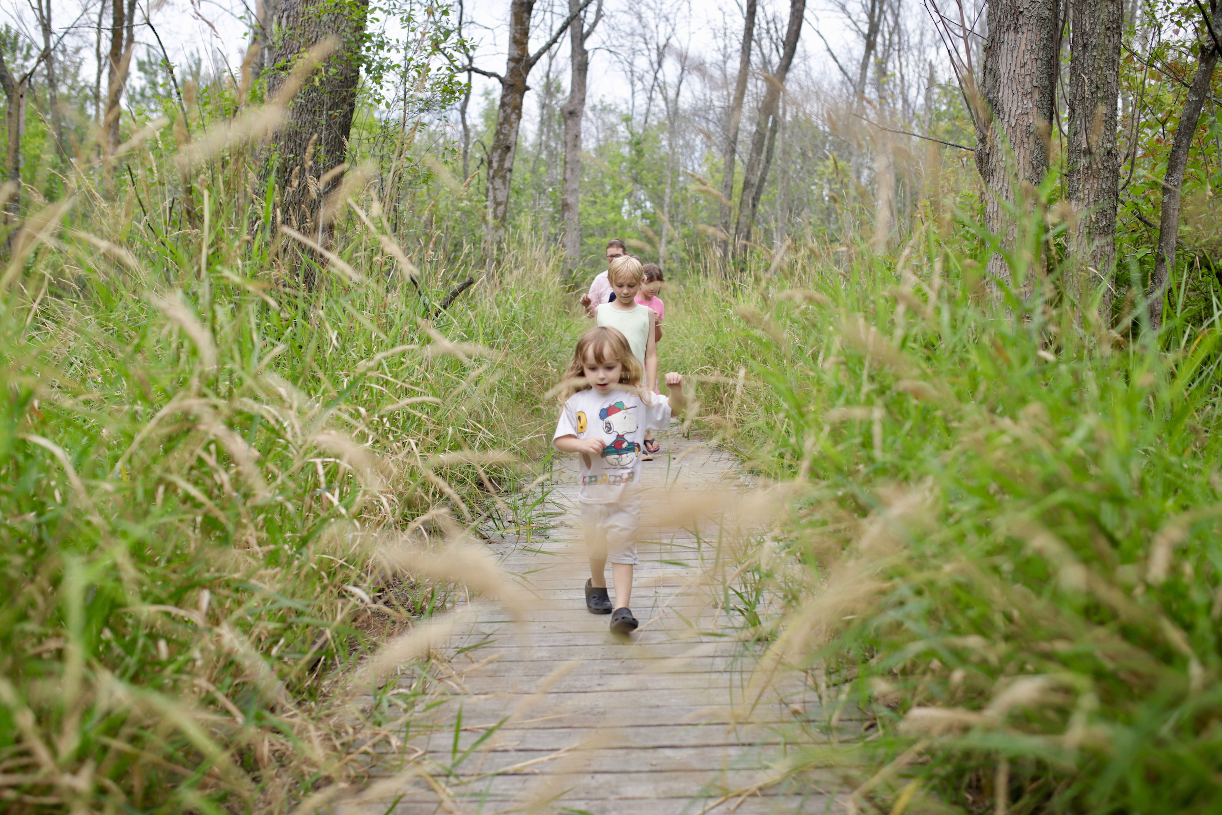 kids run down a boardwalk through the woods